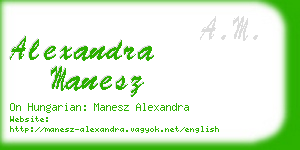 alexandra manesz business card